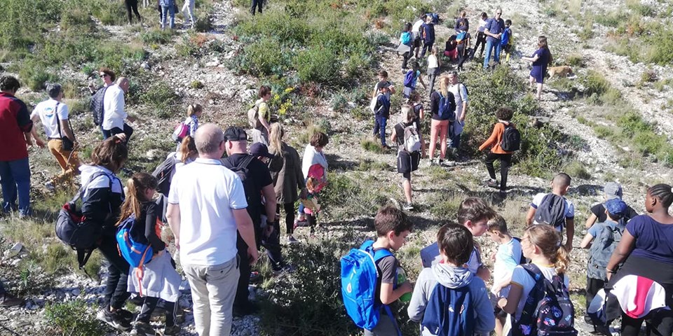 Restauration de la biodiversité dans les collines d’Aubagne