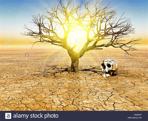 3,5 milliards de personnes pourraient vivre dans des conditions climatiques quasi invivables d’ici à 50 ans