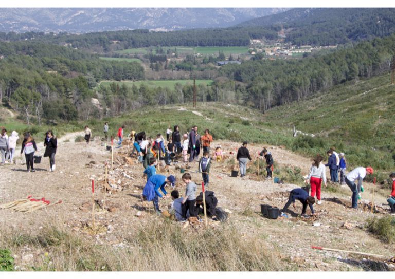Reboisement des collines d'Aubagne